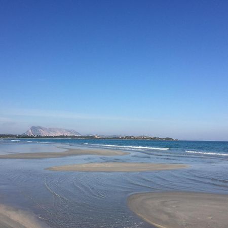 Hotel Al Faro Spiaggia La Cinta Santeodoro Сан Теодоро Екстериор снимка