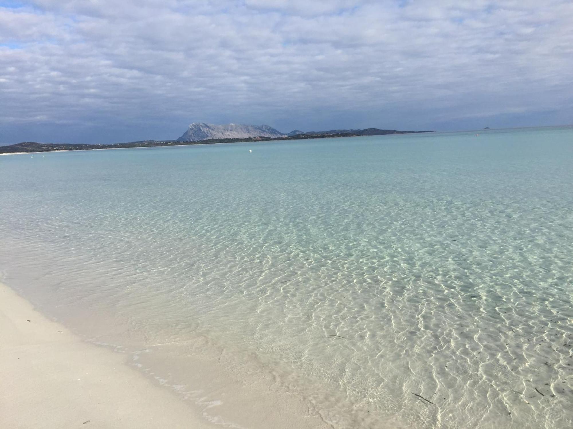 Hotel Al Faro Spiaggia La Cinta Santeodoro Сан Теодоро Екстериор снимка